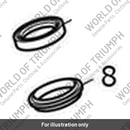 Seal Kit, Front Forks (T2041072)
