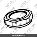 Nut, Upper Yoke (T2041100)