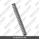 Main Fork Spring (T2041724)