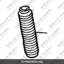 Boot protective (T2042909)