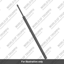 Damper Assy, RH (T2043349)