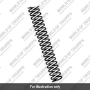 Spring, Front Fork, Main (T2043719)