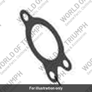 Gasket, Clutch Slave Cylinder (T2043821)