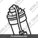 Top Cap, Fork, TES (T2043897)