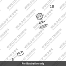 Fork Leg Assembly, LH (T2044139)