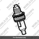 Nut/Cap Assy (T2044237)