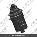 Top Cap, Fork, TES (T2045272)
