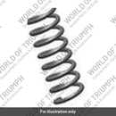 Snap Ring (T2045314)