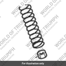 Nut (T2045552)