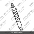 Cylinder (T2045554)
