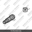 Bush, Master Cylinder (T2045825)