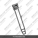 Piston, Damper (T2046061)