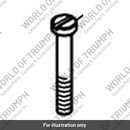 Pivot Bolt (T2046524)