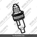 Top Nut (T2048524)