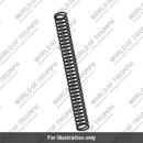 Spring, Front Fork (T2049022)