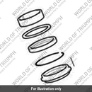 Fork Seals Kit (T2049310)