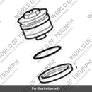 Top Cap, Comp, Fork Kit (T2049311)