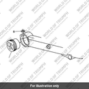 Swinging Arm (T2050024)