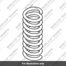 Main Spring (T2050373)