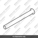 Swingarm Spindle (T2050432)