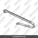 Rubbing Strip, Lower (T2050633)