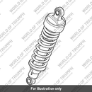 Rear Suspension Unit (T2050673)