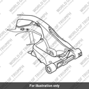Swingarm Assembly (T2050751)