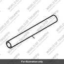 Spacer, Internal, 22 x 198 (T2050752)