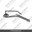 Rubbing Strip, Lateral (T2050796)