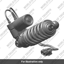 RSU, TES (T2050808)