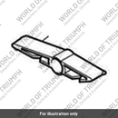 Damper, Rubbing Strip, Upper (T2050997)
