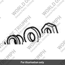 Swingarm Pivot Adjuster (T2051010)