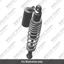Rear Suspension Unit (T2051118)