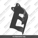 Moulding, RSU Shroud (T2051214)