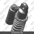 Rear Suspension Unit (T2053514)