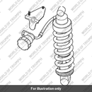 Rear Suspension Unit (T2055007)