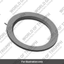 Spring, Seat (T2055318)