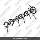 Bolt special (T2056020)