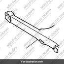 Swinging arm assembly (T2056135)