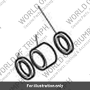Needle Bearing Kit, RSU (T2057502)