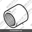 Bearing, Needle Roller (T2057778)