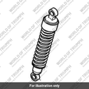 Rear Suspension Unit (T2057980)