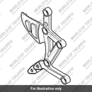 Control plate rh (T2080640)