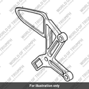 Control plate lh (T2080641)