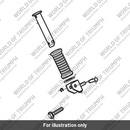 Pivot Pin Footrest (T2081418)
