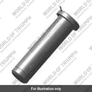 Pivot Pin, Sidestand (T2084060)