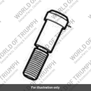 Pivot Pin Kit, Sidestand (T2084412)