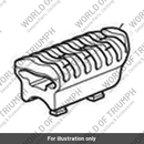 Footrest Rubber (T2085111)