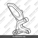 Control Plate, RH (T2087669)