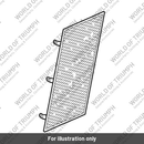 Grill Assembly, Radiator (T2100121)